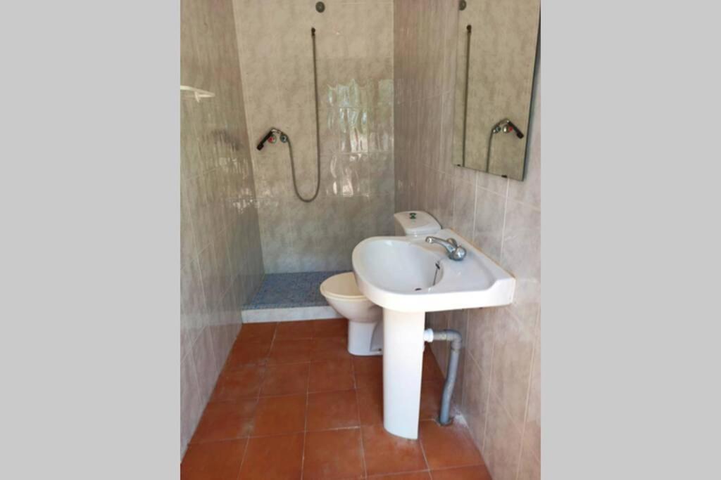 Villa Rustica Privada Con Gran Chalet Y Piscina Elche Exteriér fotografie